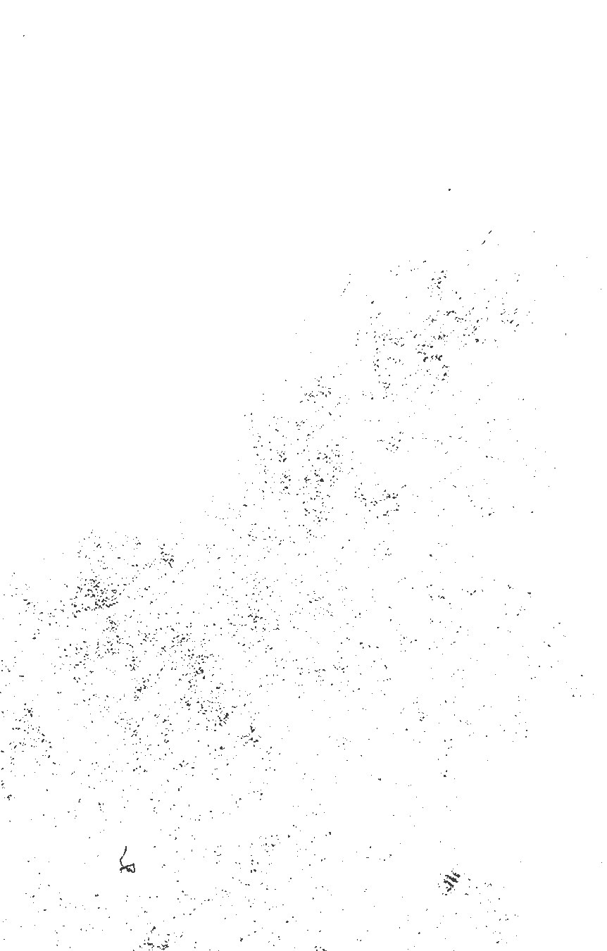 black dots image