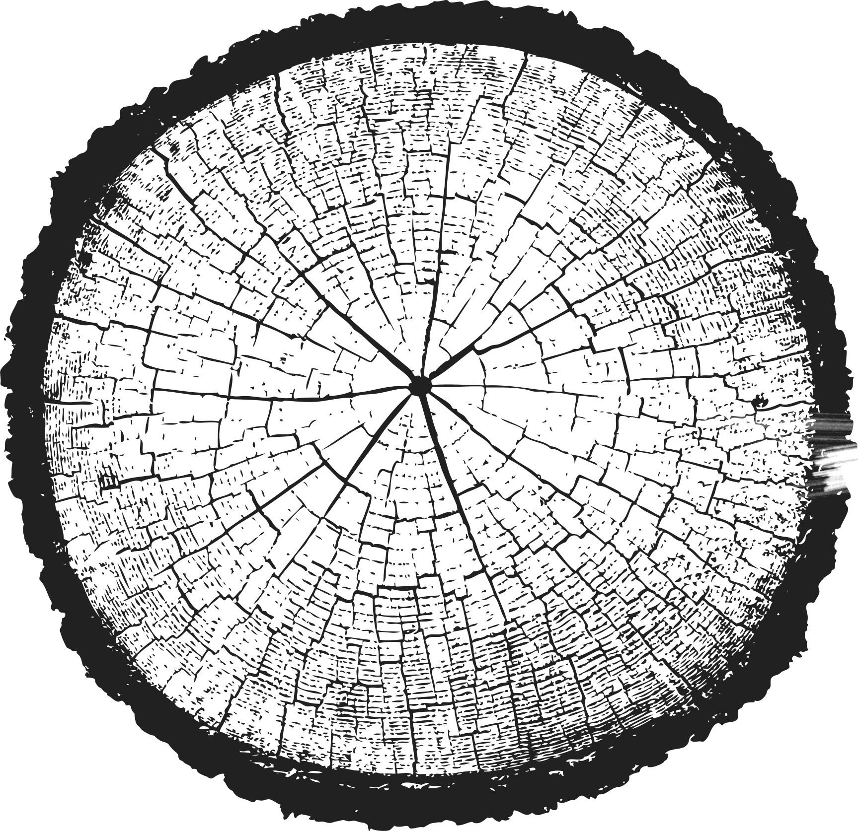 barrel illustration