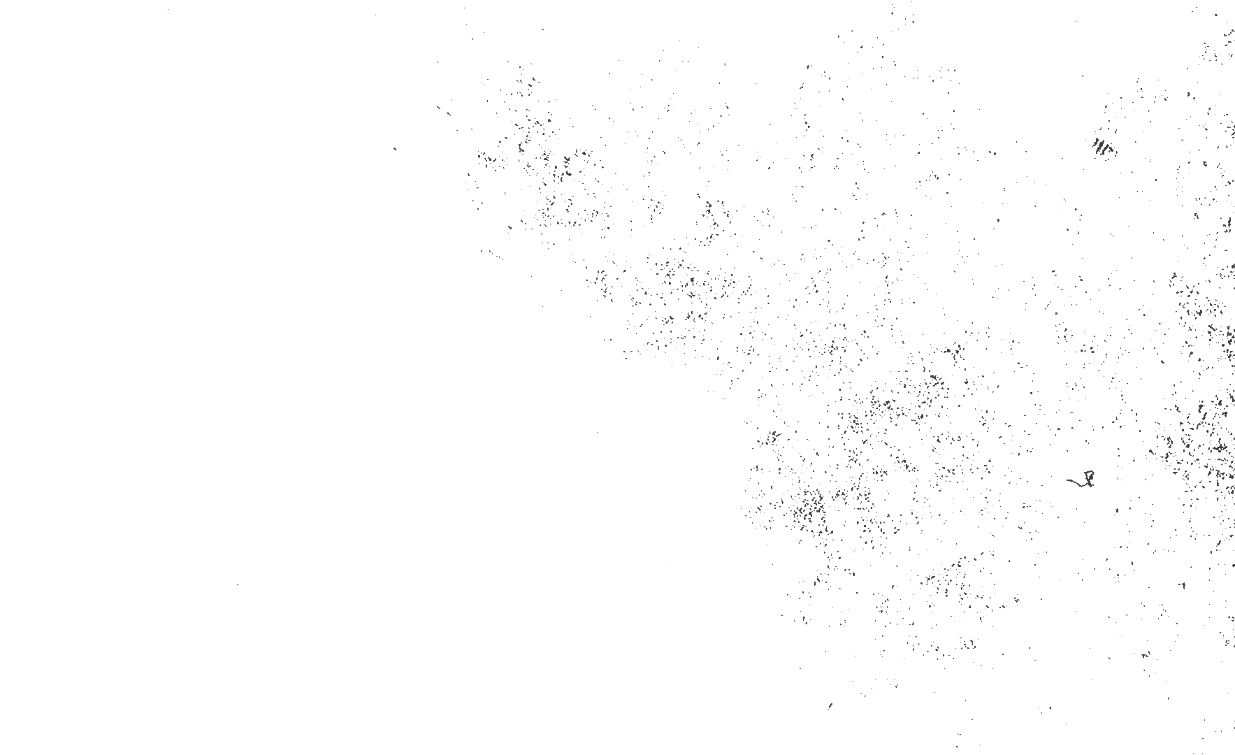 black dots image