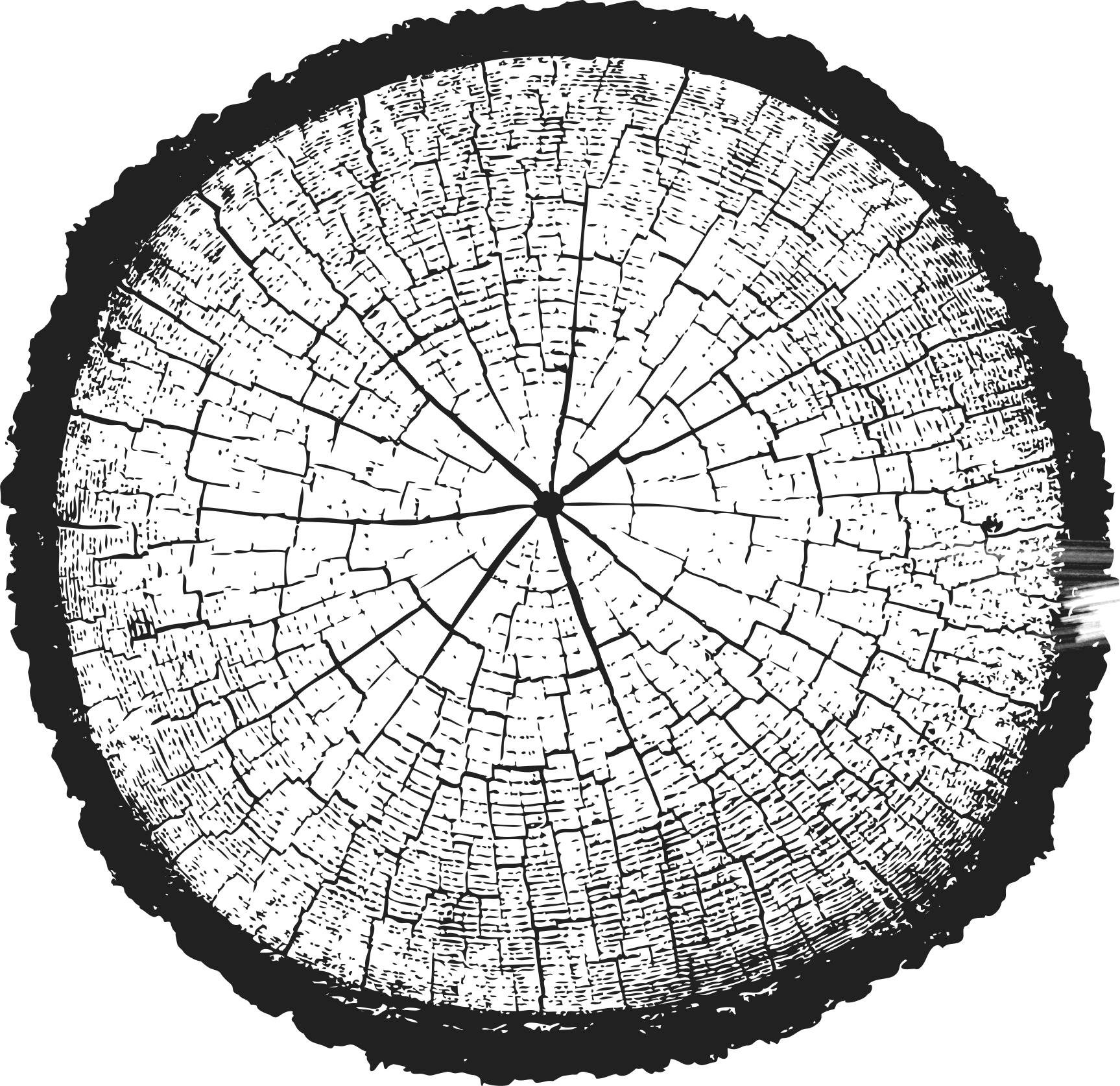 barrel illustration