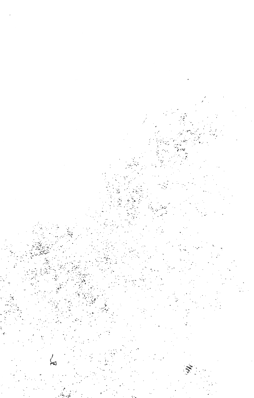 black dots image