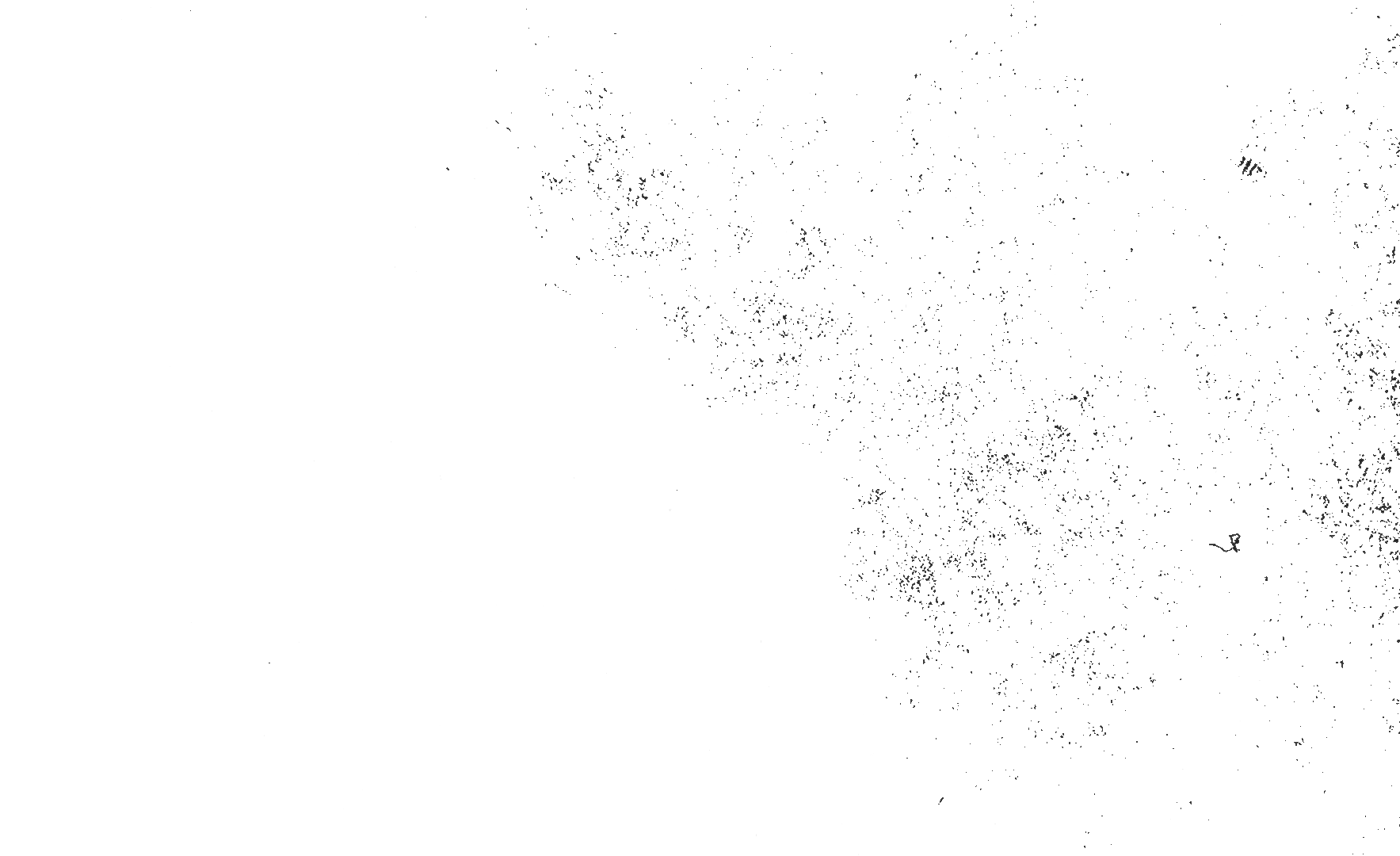 black dots image